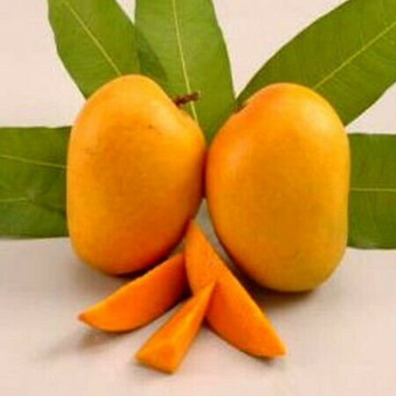 VGO INDIAN GROCERY QRFlyer